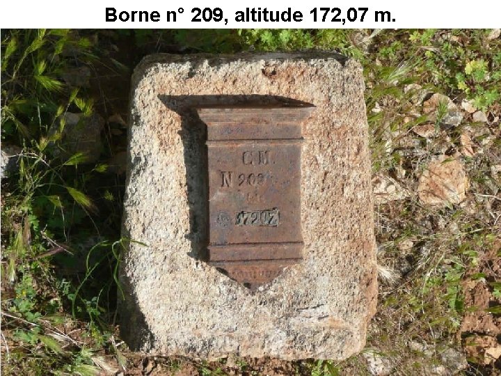 Borne n° 209, altitude 172, 07 m. 