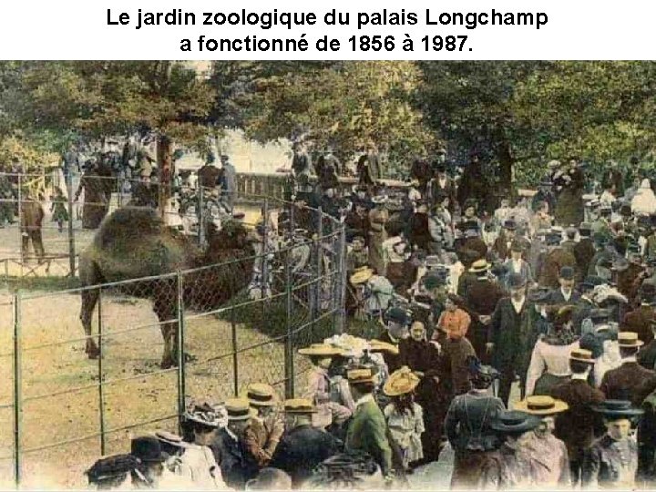 Le jardin zoologique du palais Longchamp a fonctionné de 1856 à 1987. 