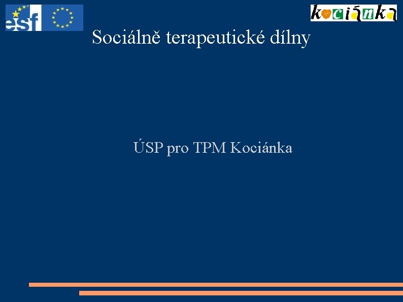 Sociálně terapeutické dílny ÚSP pro TPM Kociánka 