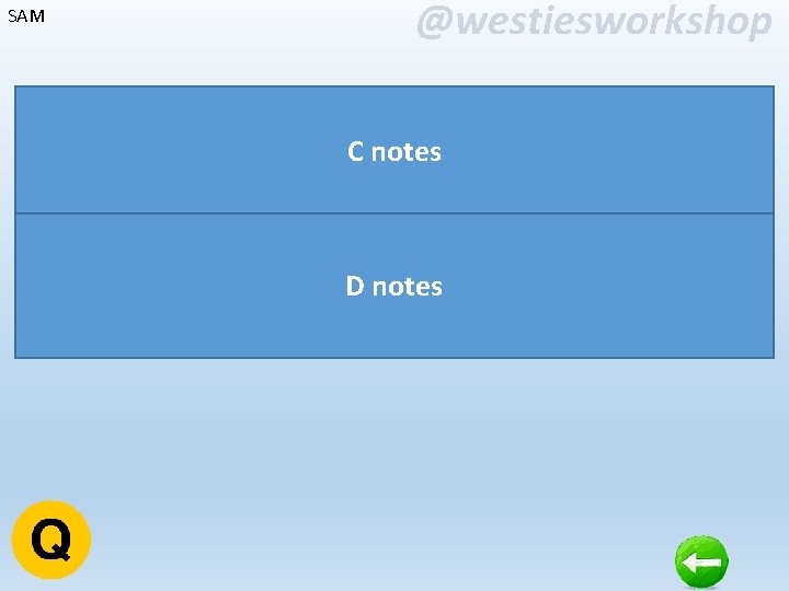 SAM @westiesworkshop C notes D notes 