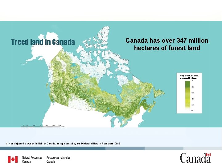 Treed land in Canada has over 347 million hectares of forest land Proportion of