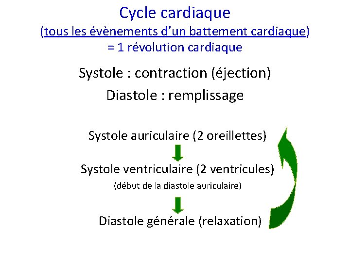 Cycle cardiaque (tous les évènements d’un battement cardiaque) = 1 révolution cardiaque Systole :