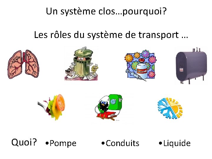 Un système clos…pourquoi? Les rôles du système de transport … Quoi? • Pompe •