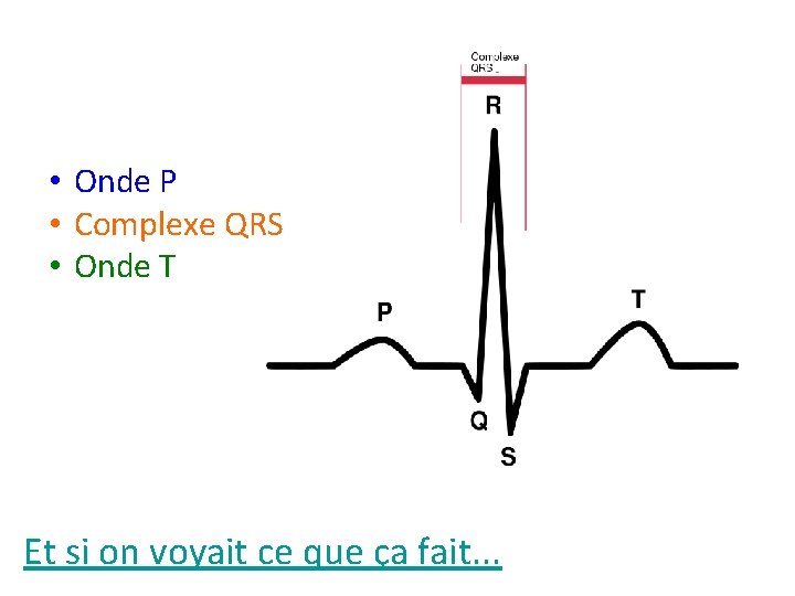  • Onde P • Complexe QRS • Onde T Et si on voyait