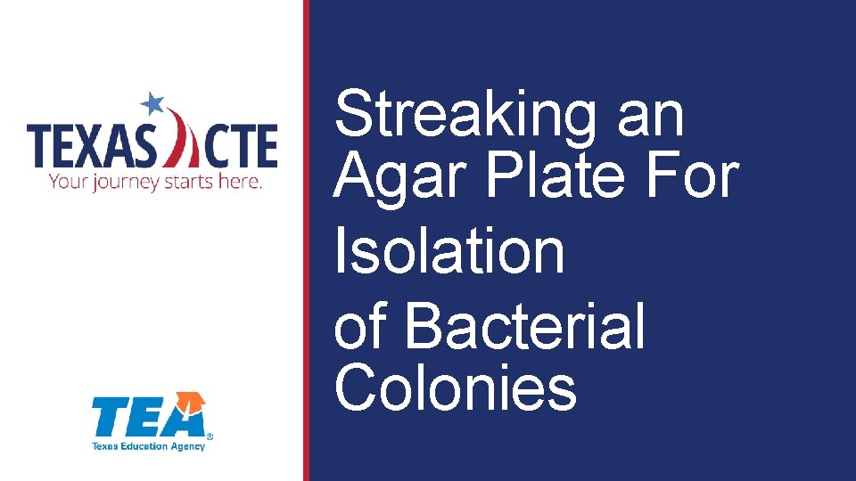 Streaking an Agar Plate For Isolation of Bacterial Colonies 