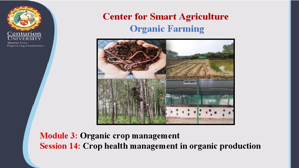 Center for Smart Agriculture Organic Farming Module 3: Organic crop management Session 14: Crop
