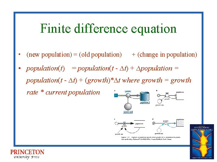 Finite difference equation • (new population) = (old population) + (change in population) •