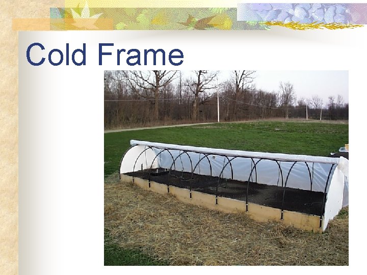 Cold Frame 