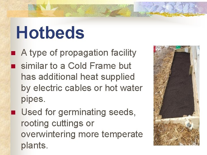 Hotbeds n n n A type of propagation facility similar to a Cold Frame