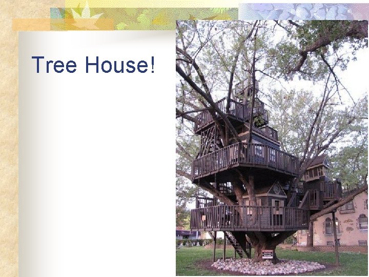 Tree House! 