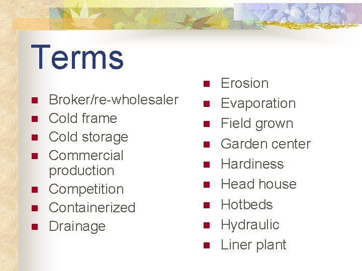 Terms n n n n Broker/re-wholesaler Cold frame Cold storage Commercial production Competition Containerized