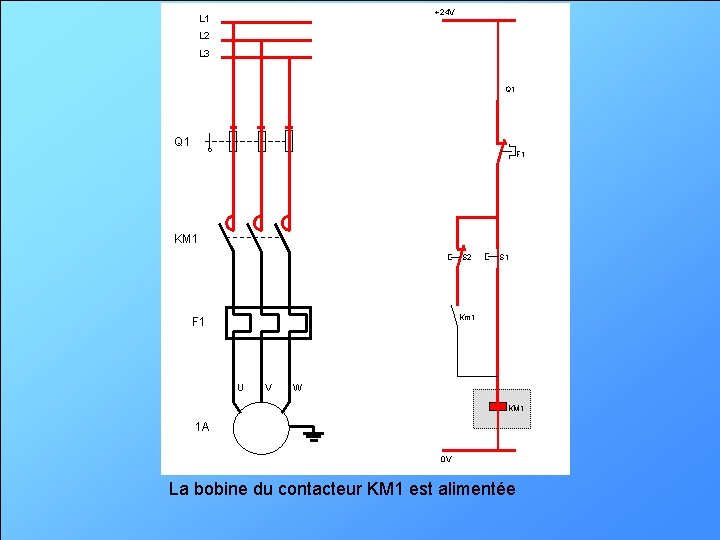 +24 V L 1 L 2 L 3 Q 1 F 1 KM 1