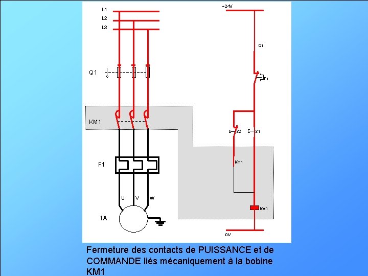 +24 V L 1 L 2 L 3 Q 1 F 1 KM 1
