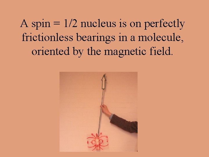 A spin = 1/2 nucleus is on perfectly frictionless bearings in a molecule, oriented