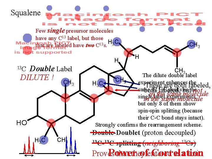 Squalene Few single presursor molecules have any C 13 label, but those HC that