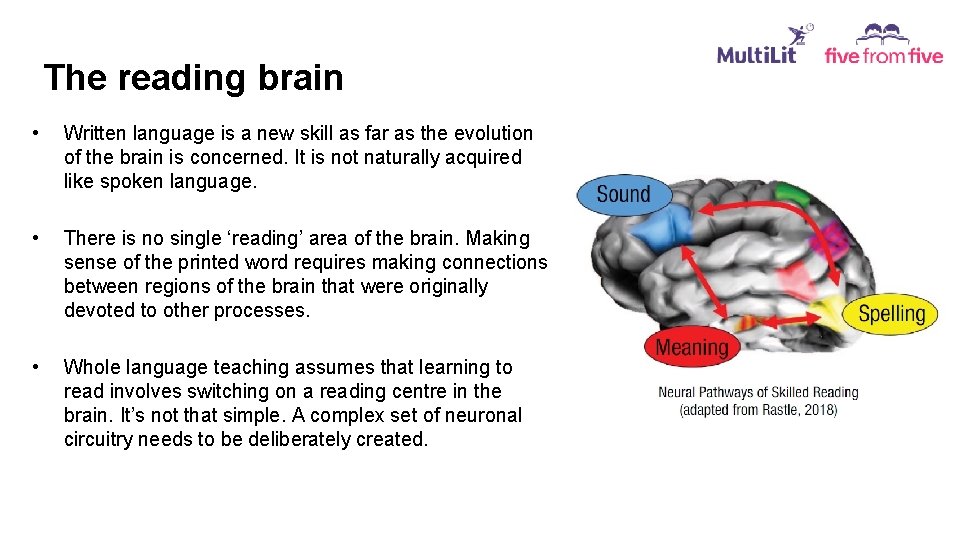 The reading brain • Written language is a new skill as far as the