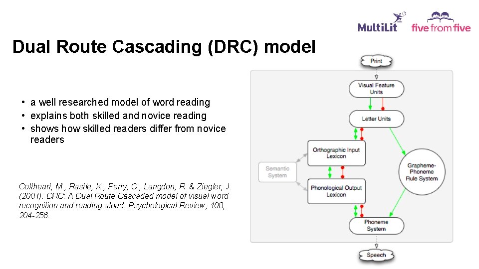 Dual Route Cascading (DRC) model • a well researched model of word reading •