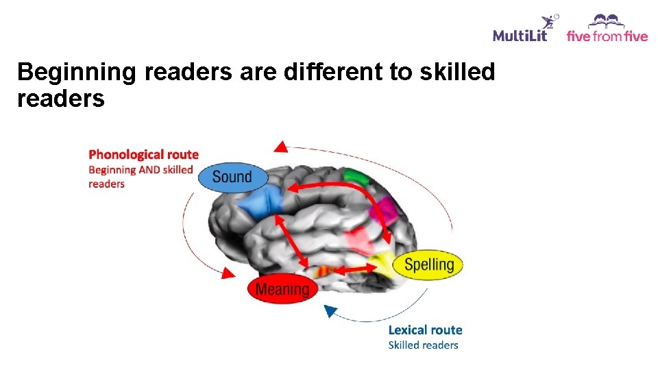 Beginning readers are different to skilled readers 