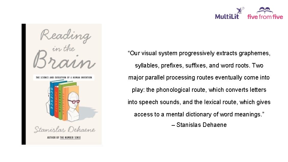 “Our visual system progressively extracts graphemes, syllables, prefixes, suffixes, and word roots. Two major