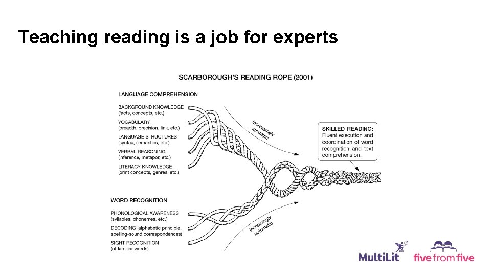 Teaching reading is a job for experts 