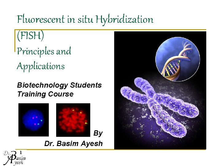 Fluorescent in situ Hybridization (FISH) Principles and Applications Biotechnology Students Training Course By Dr.