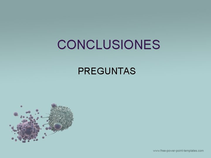 CONCLUSIONES PREGUNTAS CONCLUSIONES PREGUNTAS