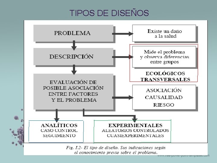 TIPOS DE DISEÑOS TIPOS DE DISEÑOS