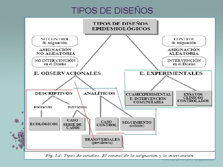 TIPOS DE DISEÑOS TIPOS DE DISEÑOS