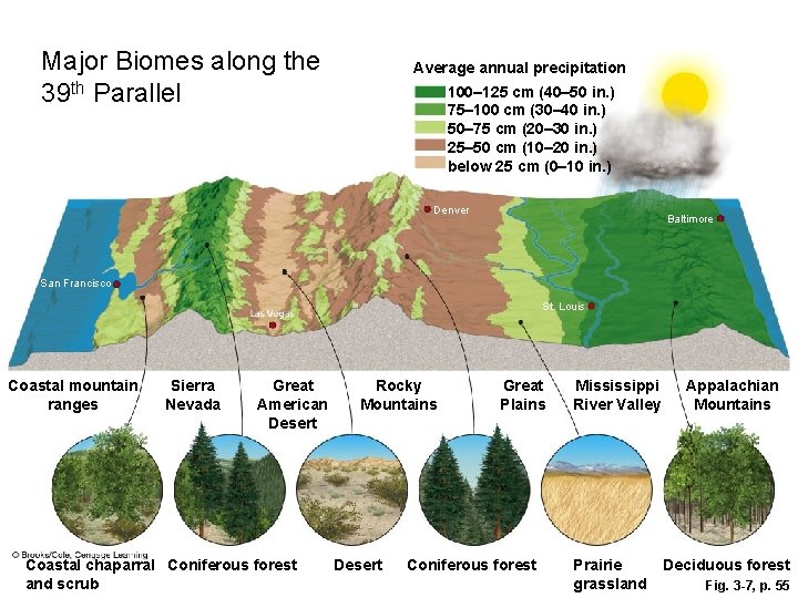 Major Biomes along the 39 th Parallel Average annual precipitation 100– 125 cm (40–
