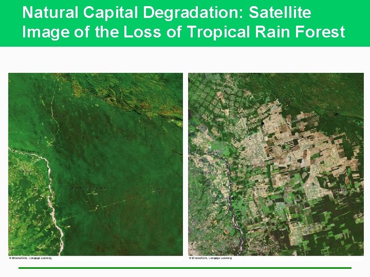 Natural Capital Degradation: Satellite Image of the Loss of Tropical Rain Forest 