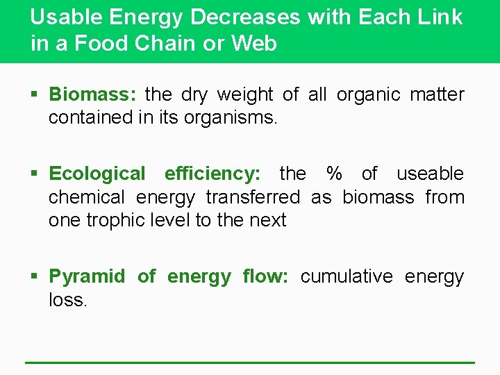 Usable Energy Decreases with Each Link in a Food Chain or Web § Biomass: