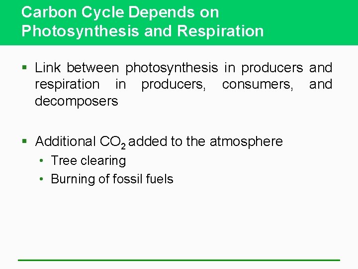 Carbon Cycle Depends on Photosynthesis and Respiration § Link between photosynthesis in producers and