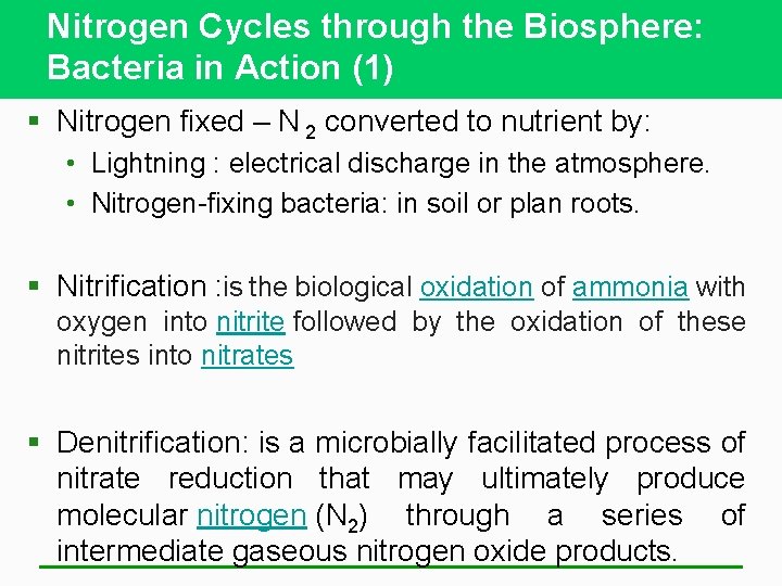 Nitrogen Cycles through the Biosphere: Bacteria in Action (1) § Nitrogen fixed – N