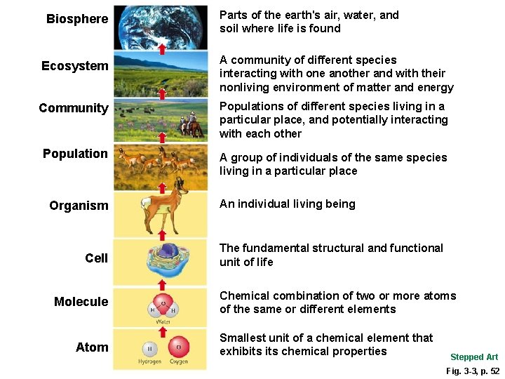 Biosphere Parts of the earth's air, water, and soil where life is found Ecosystem