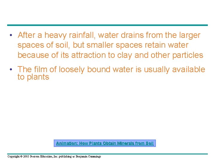  • After a heavy rainfall, water drains from the larger spaces of soil,