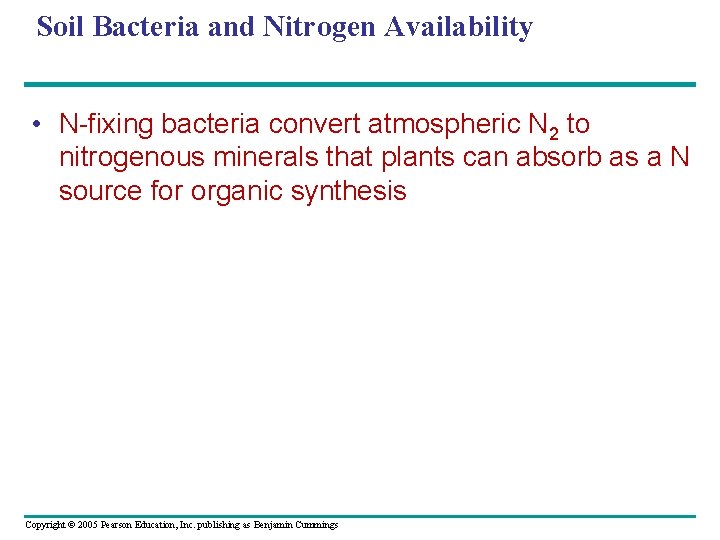 Soil Bacteria and Nitrogen Availability • N-fixing bacteria convert atmospheric N 2 to nitrogenous