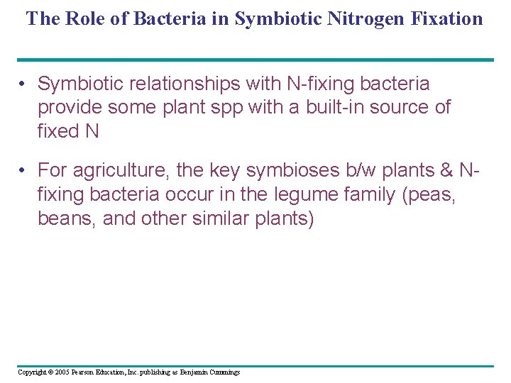 The Role of Bacteria in Symbiotic Nitrogen Fixation • Symbiotic relationships with N-fixing bacteria