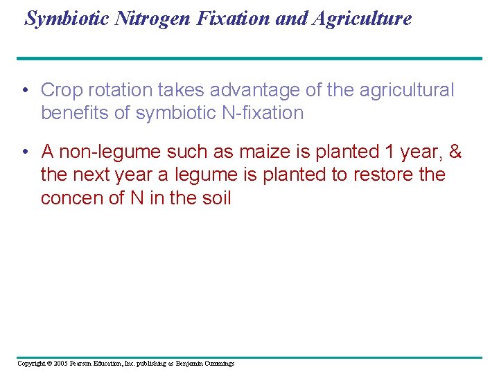 Symbiotic Nitrogen Fixation and Agriculture • Crop rotation takes advantage of the agricultural benefits