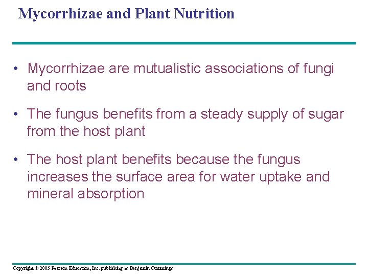 Mycorrhizae and Plant Nutrition • Mycorrhizae are mutualistic associations of fungi and roots •