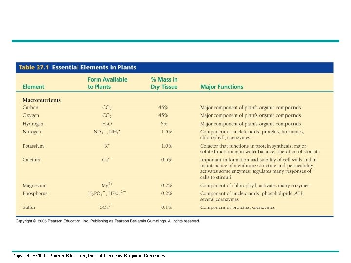 Copyright © 2005 Pearson Education, Inc. publishing as Benjamin Cummings 