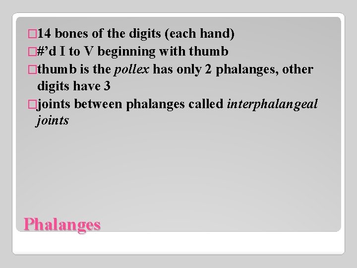 � 14 bones of the digits (each hand) �#’d I to V beginning with