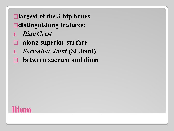 �largest of the 3 hip bones �distinguishing features: 1. Iliac Crest � along superior