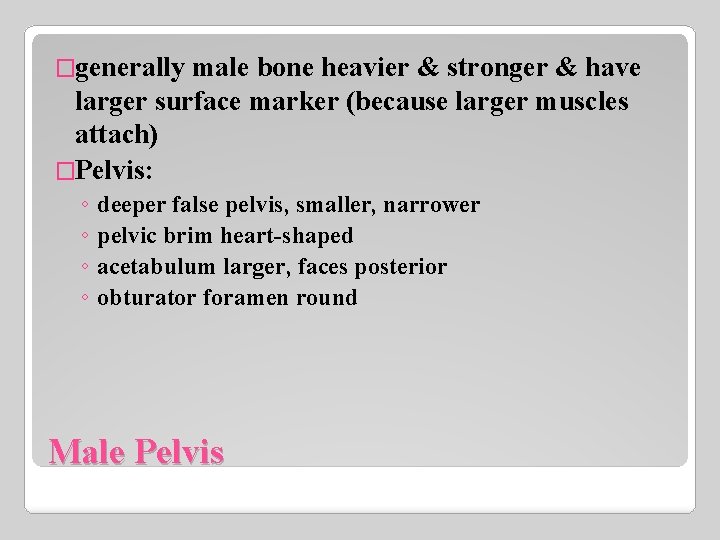 �generally male bone heavier & stronger & have larger surface marker (because larger muscles