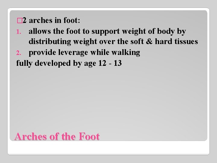 � 2 arches in foot: 1. allows the foot to support weight of body