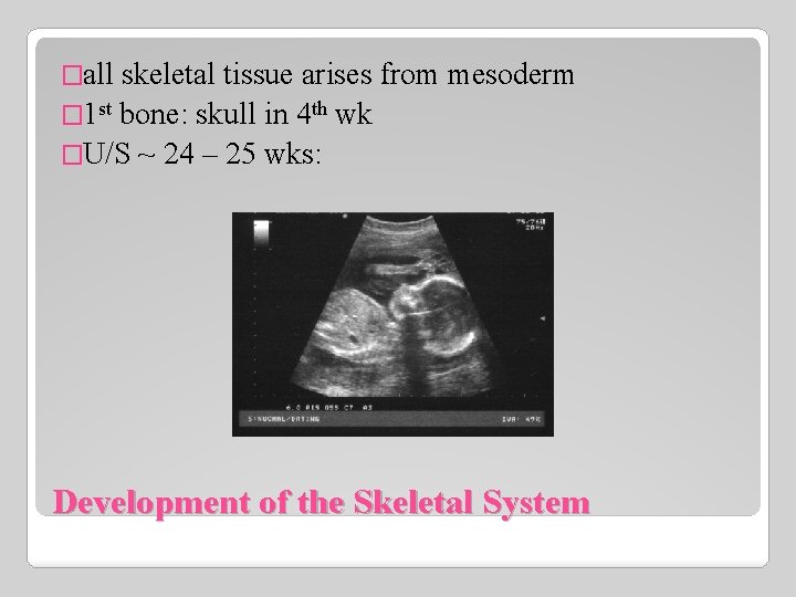 �all skeletal tissue arises from mesoderm � 1 st bone: skull in 4 th