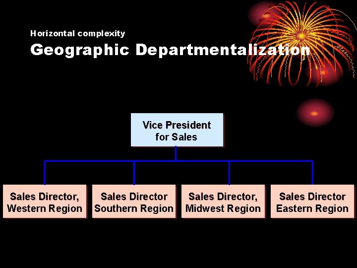 Horizontal complexity Geographic Departmentalization Vice President for Sales Director, Western Region Sales Director Southern