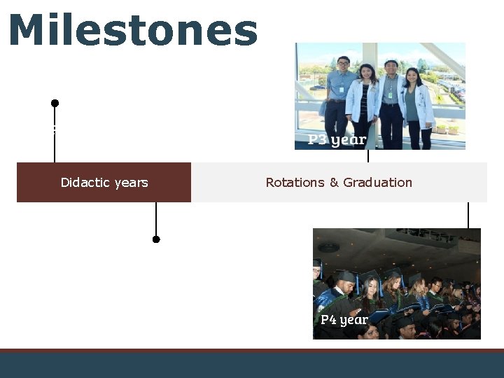 Milestones P 1 year Didactic years P 2 year Rotations & Graduation P 4