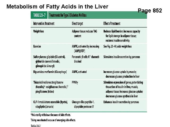 Metabolism of Fatty Acids in the Liver Page 852 