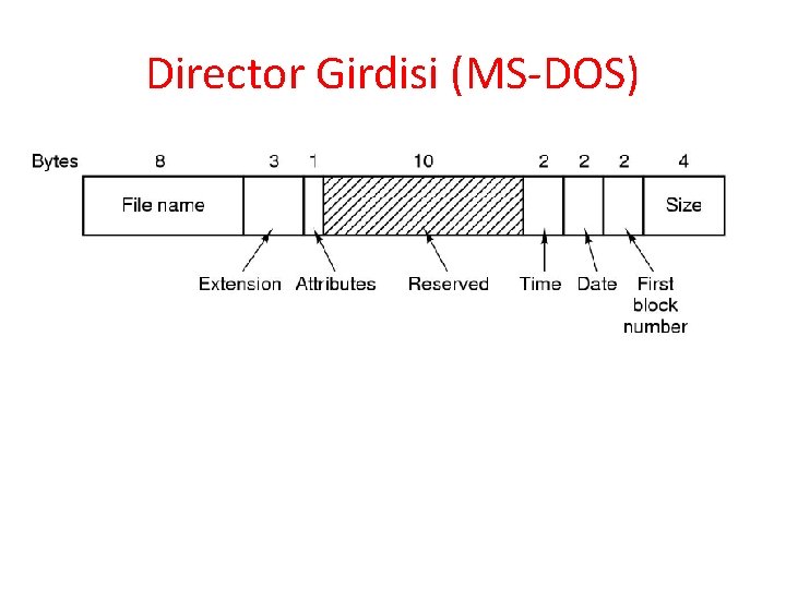 Director Girdisi (MS-DOS) 