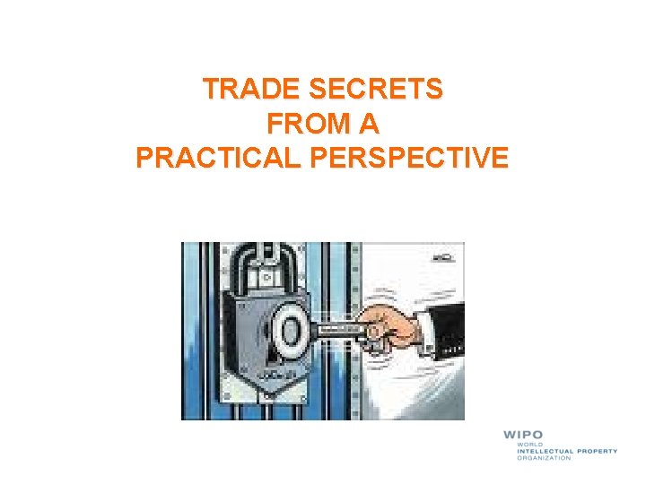 TRADE SECRETS FROM A PRACTICAL PERSPECTIVE 